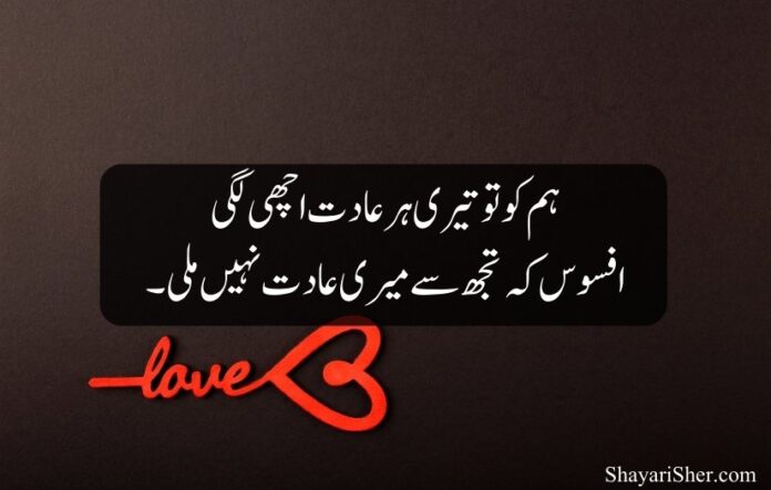 24 Heart Touching Love Poetry in Urdu