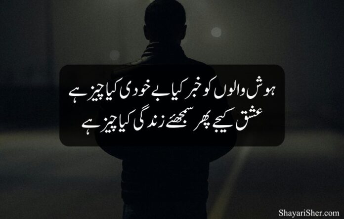 1 Poetry About Life in Urdu