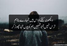 Alone poetry in Urdu Alone poetry in Urdu
